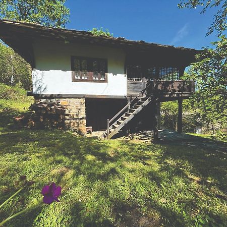 Guest House Cana Mihova Bozhentsi Exterior foto